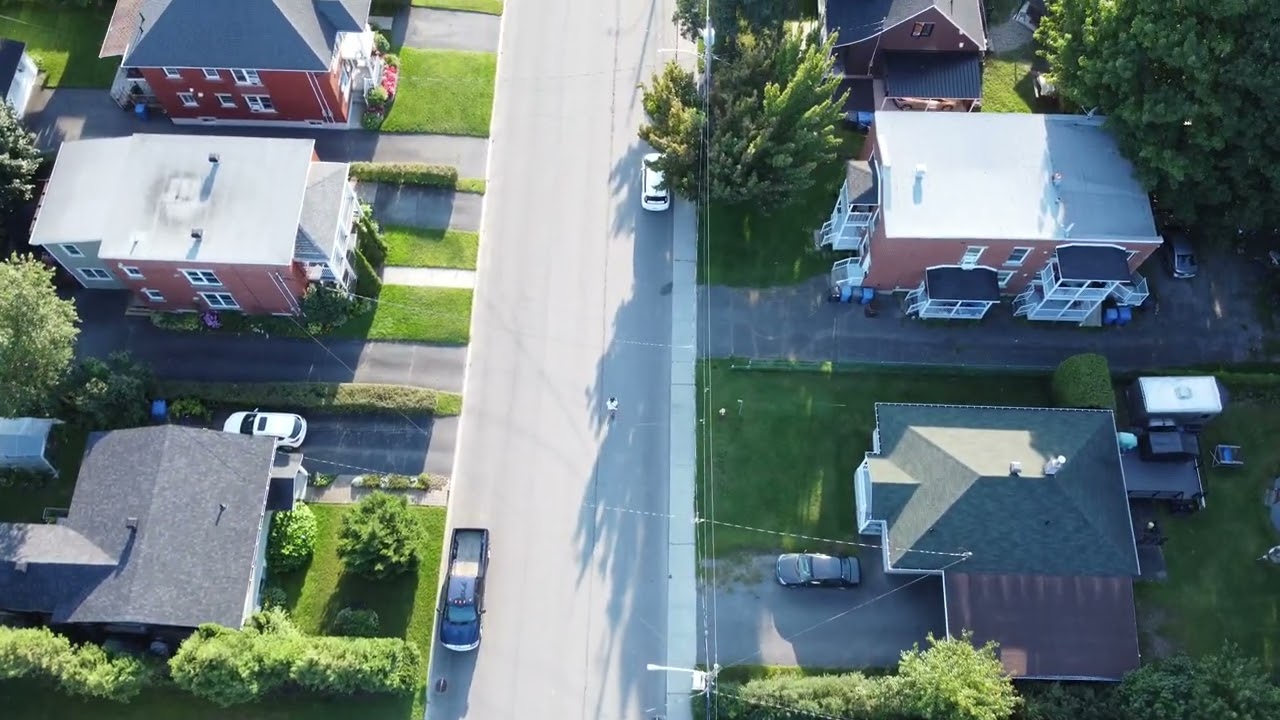 Mom transporting cat food on the Segway back to home DJI Mini 2