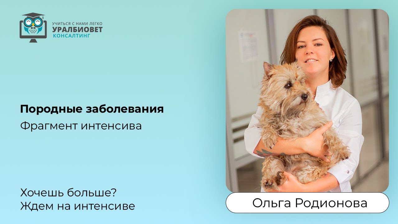 Фрагмент интенсива 