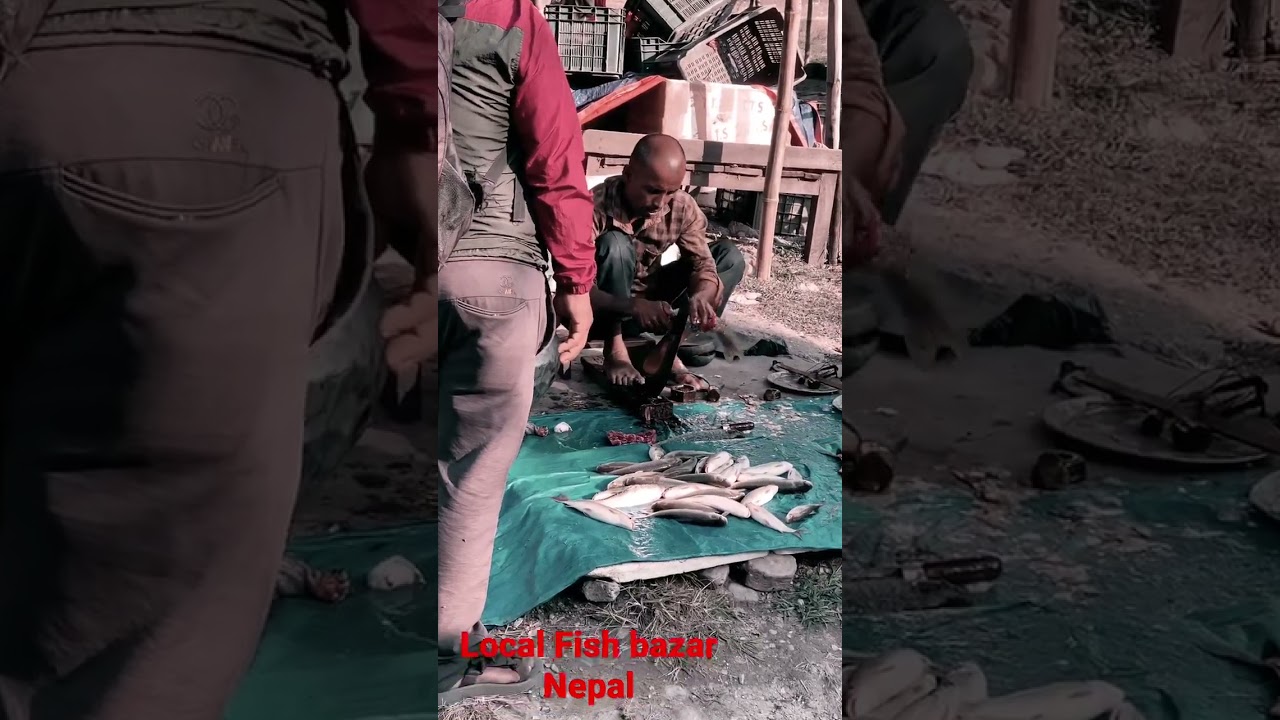 Fish bazar of nepal#local #