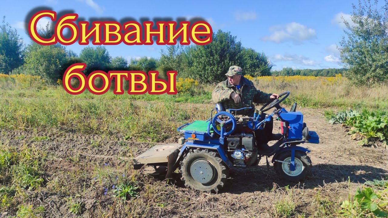 Как быстро убрать ботву картофеля трёхколёсным мотоблокам МТЗ БЕЛАРУС. Урожай 2021