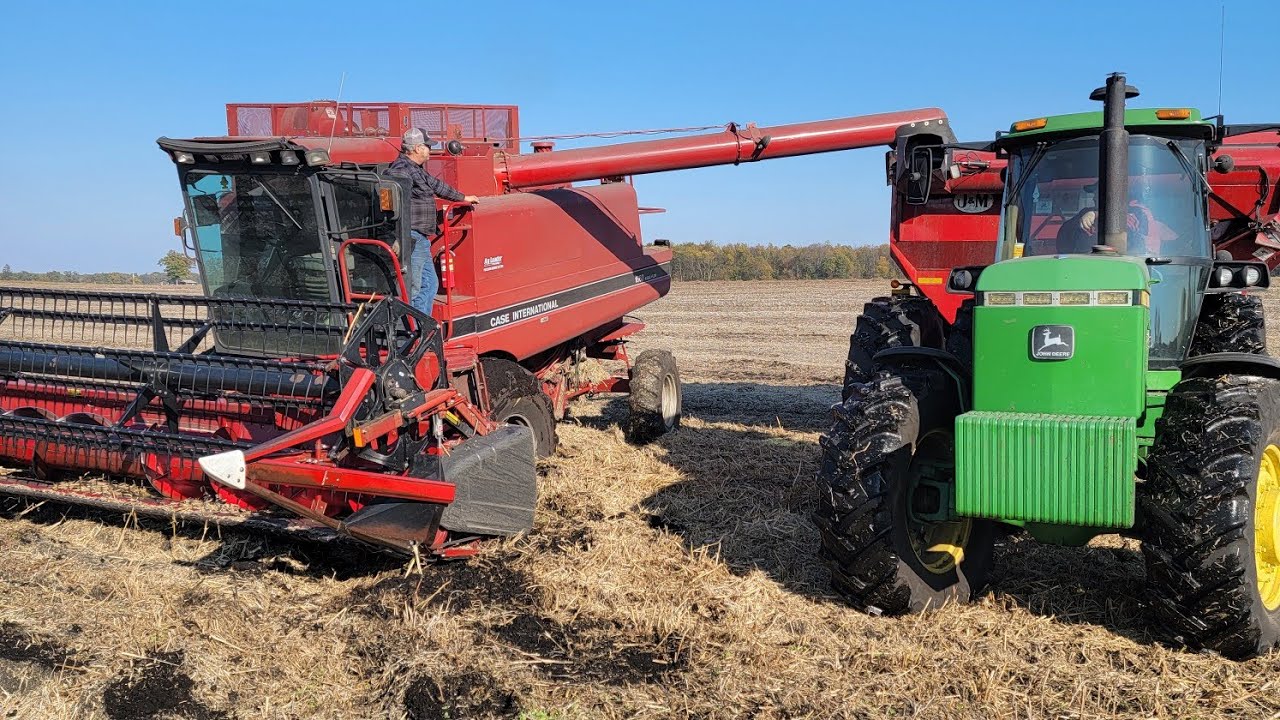 L2 Gleaner Wins The Battle For The Beans More Mud And Tow Ropes!!