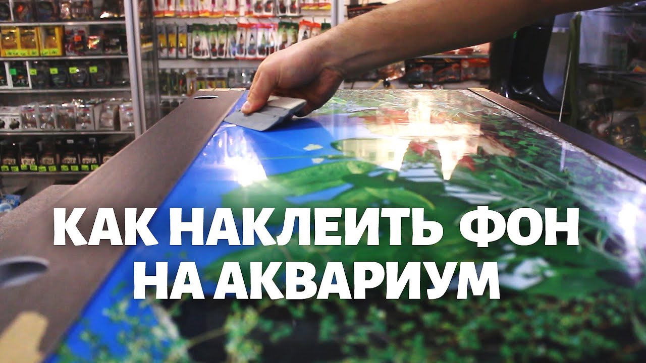 Как правильно наклеить фон + РОЗЫГРЫШ ПОДАРКОВ