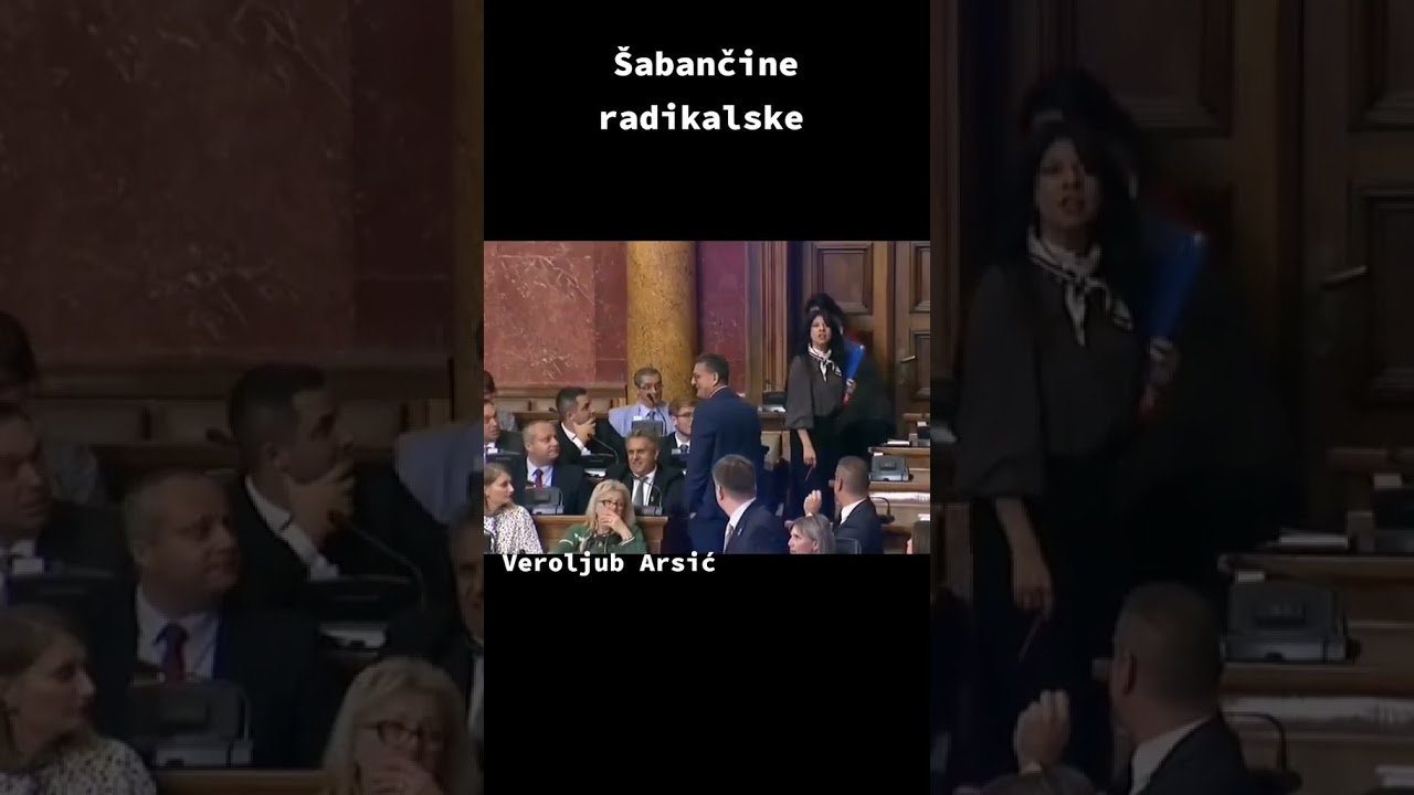 Ovako je u celoj Srbiji. Ovakve &scaron;abančine koje je Psiho Hulja delegirao maltretiraju ljude 24/7