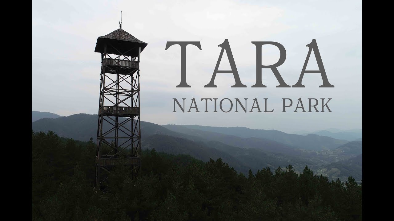 Тара Национальный парк Сербии Аэросъемка / Tara National Park of Serbia aerial