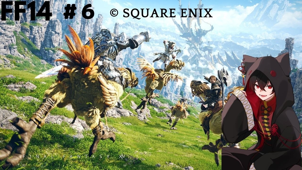 【FINAL FANTASY XIV】FF14 　ぴよぴよ冒険者の旅　#6 概要確認必須
