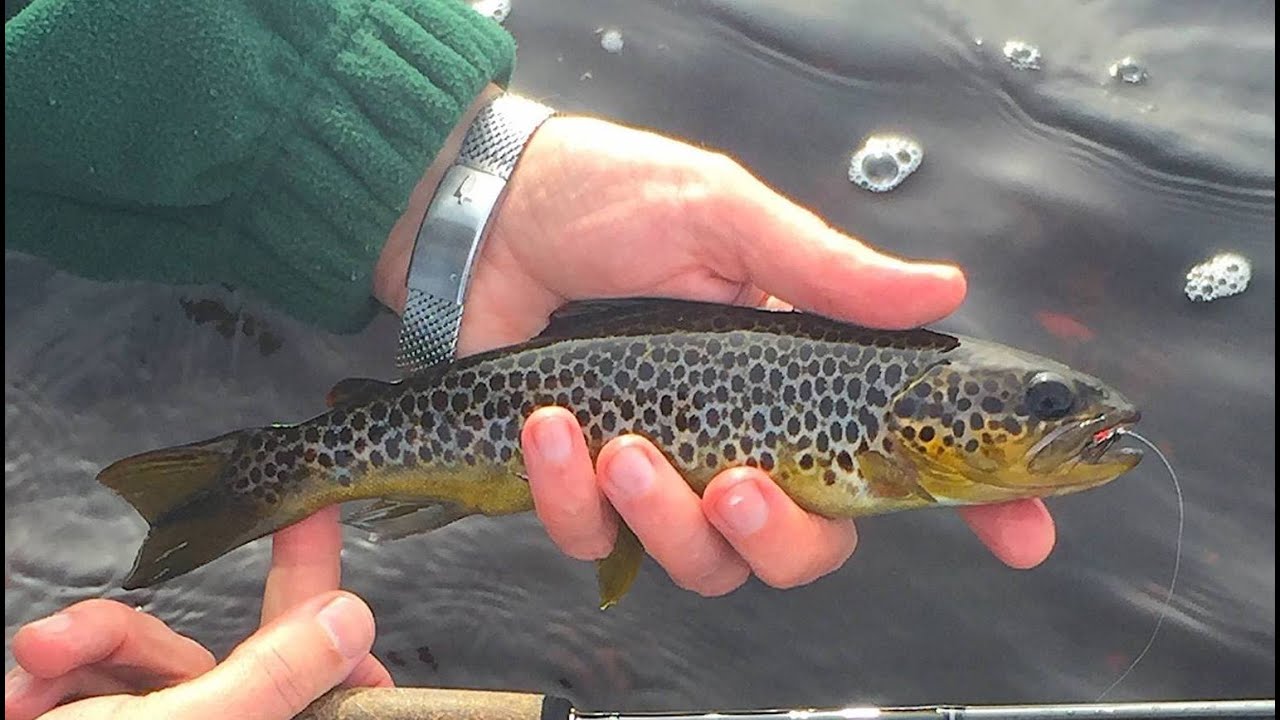 Fishing Loch Doon with Davie McPhail