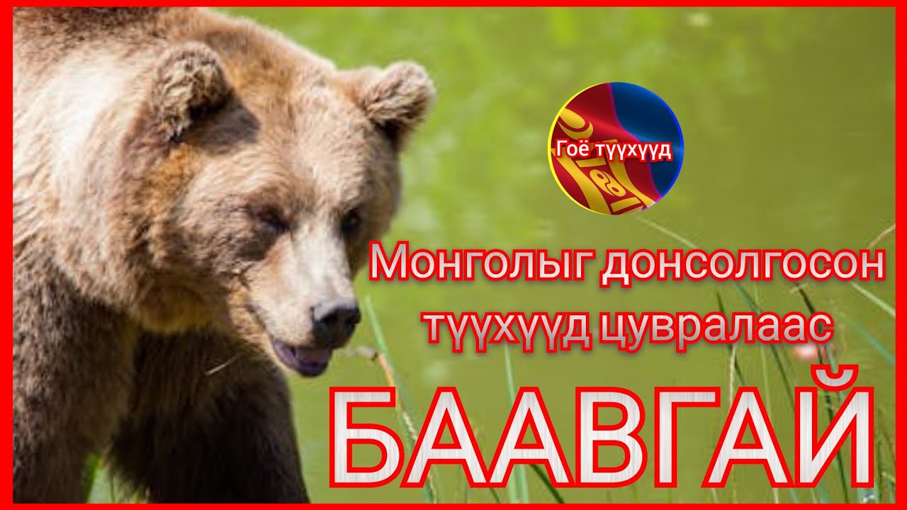 Баавгайн амьдрал алаан хядааны түүх Гоё түүхүүд цувралаас монгол хэлээр кино Goe tuuhuud 