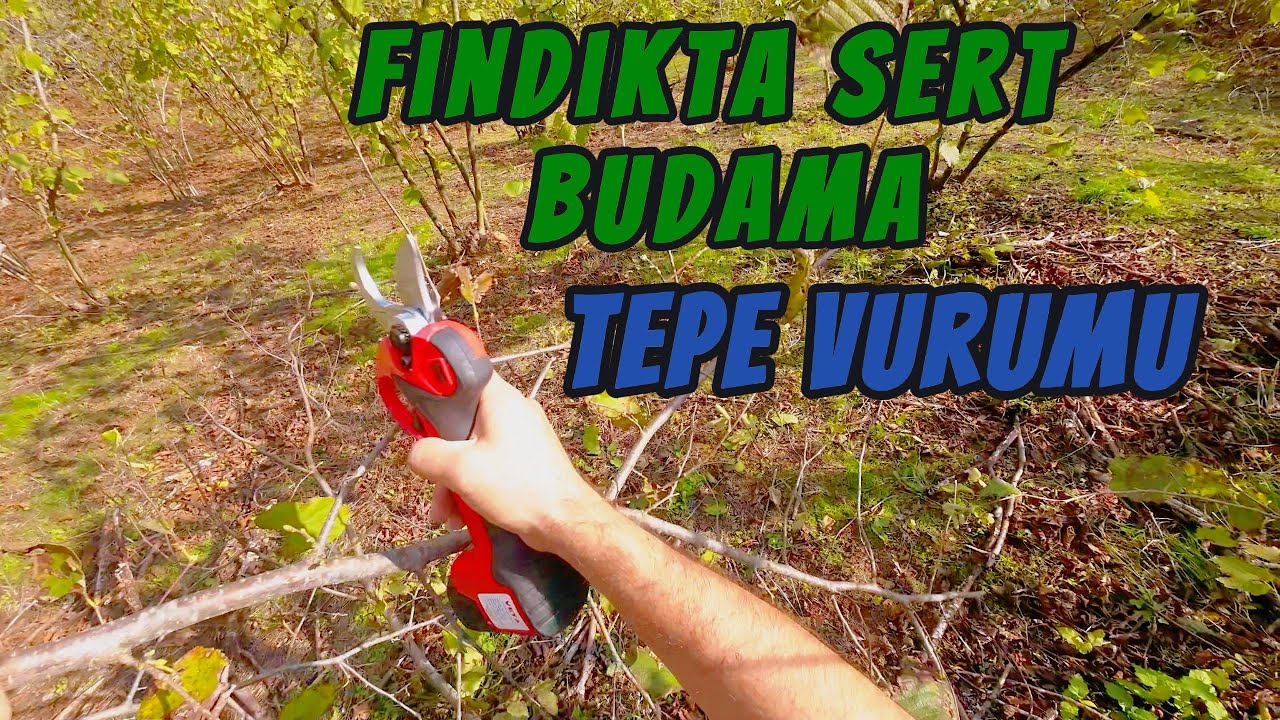 FINDIK BUDAMA | VETA 35 BUDAMA MAKASI