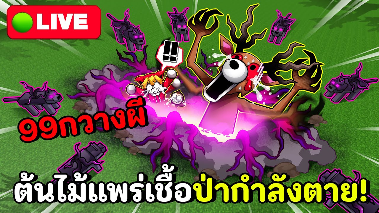 รอยแยกต้นไม้คลั่งแพร่เชื้อทำให้ป่าตาย