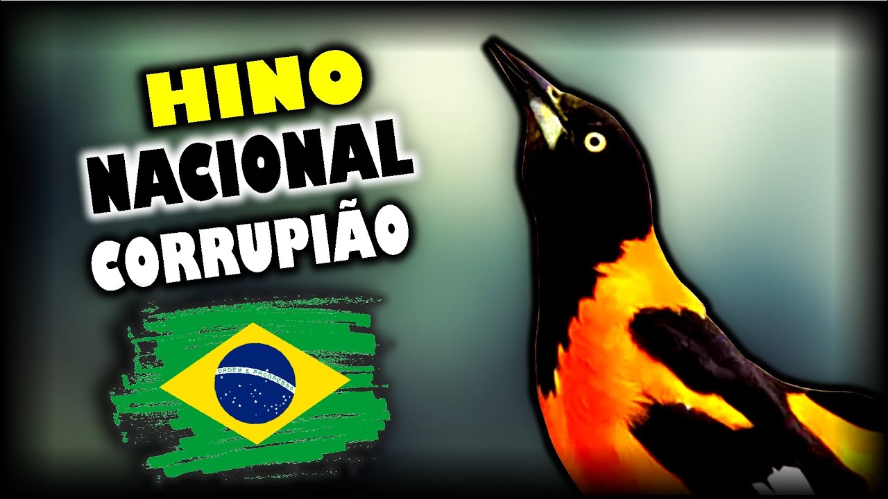 HINO NACIONAL PARA ENSINAR CORRUPIÃO - SOFRÊ - CONCRIZ [COM INTERVALO]