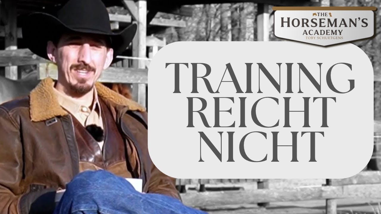 Persönlichkeit vs. Training im Alltag mit Pferden