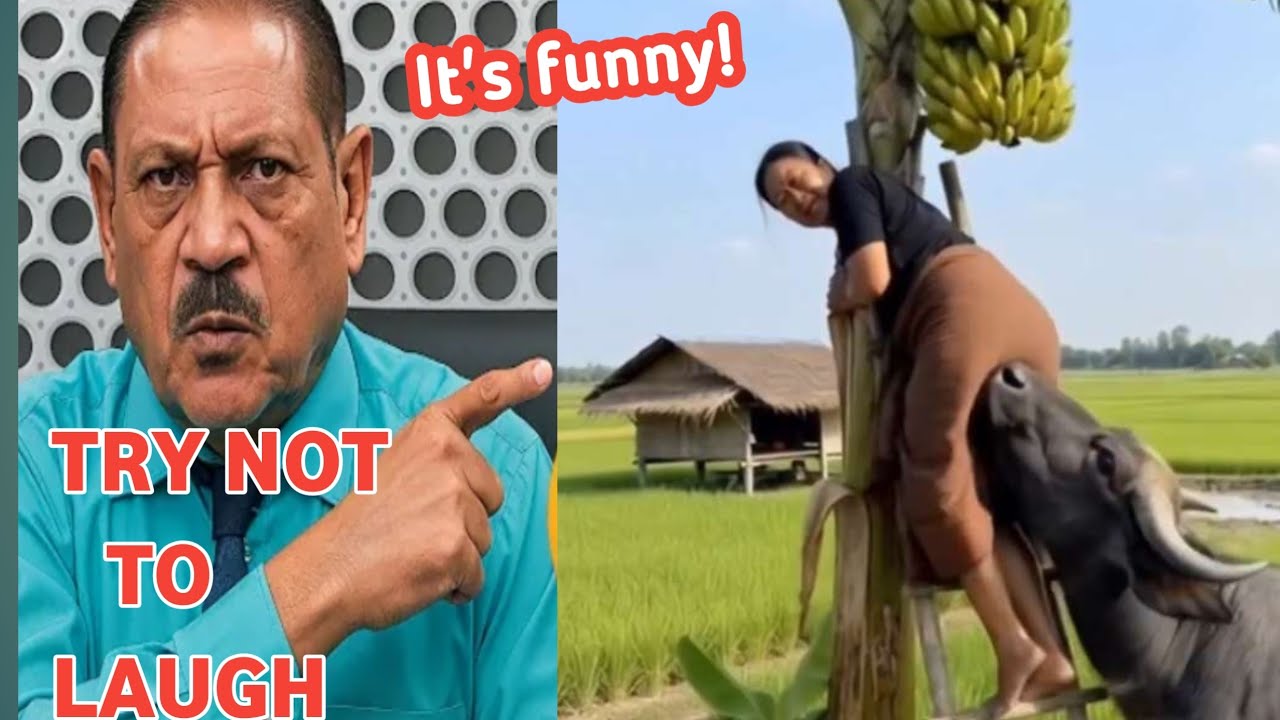 Try Not To Laugh Challenge🤣 | Crazy Funniest Video Ever In The World Episode 90