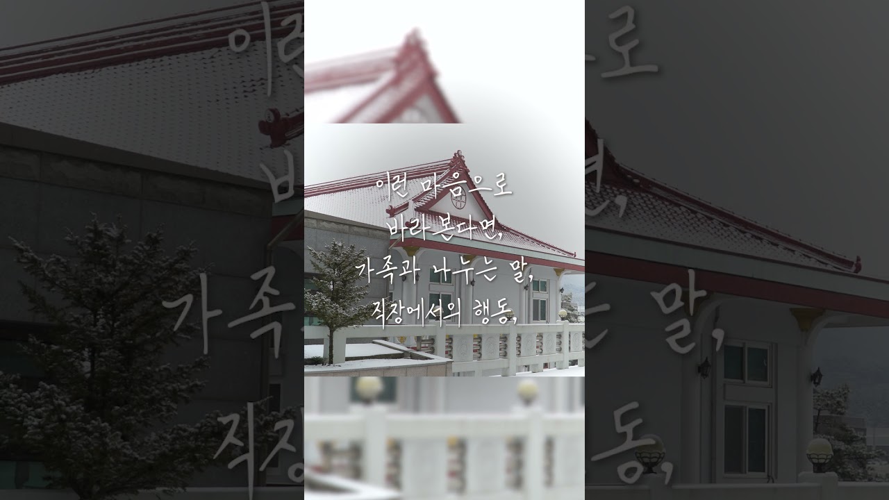 [진각의 길] 수행은 지금 여기에서 시작됩니다