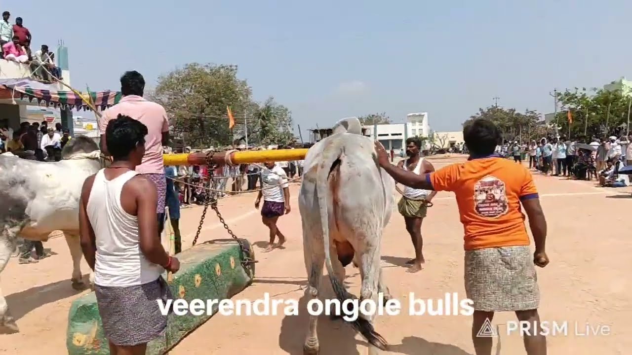 రాజోలి గ్రామంలో సీనియర్స్ విభాగం 4, బంటుపల్లి గోపాల్ పిఆర్ పల్లి