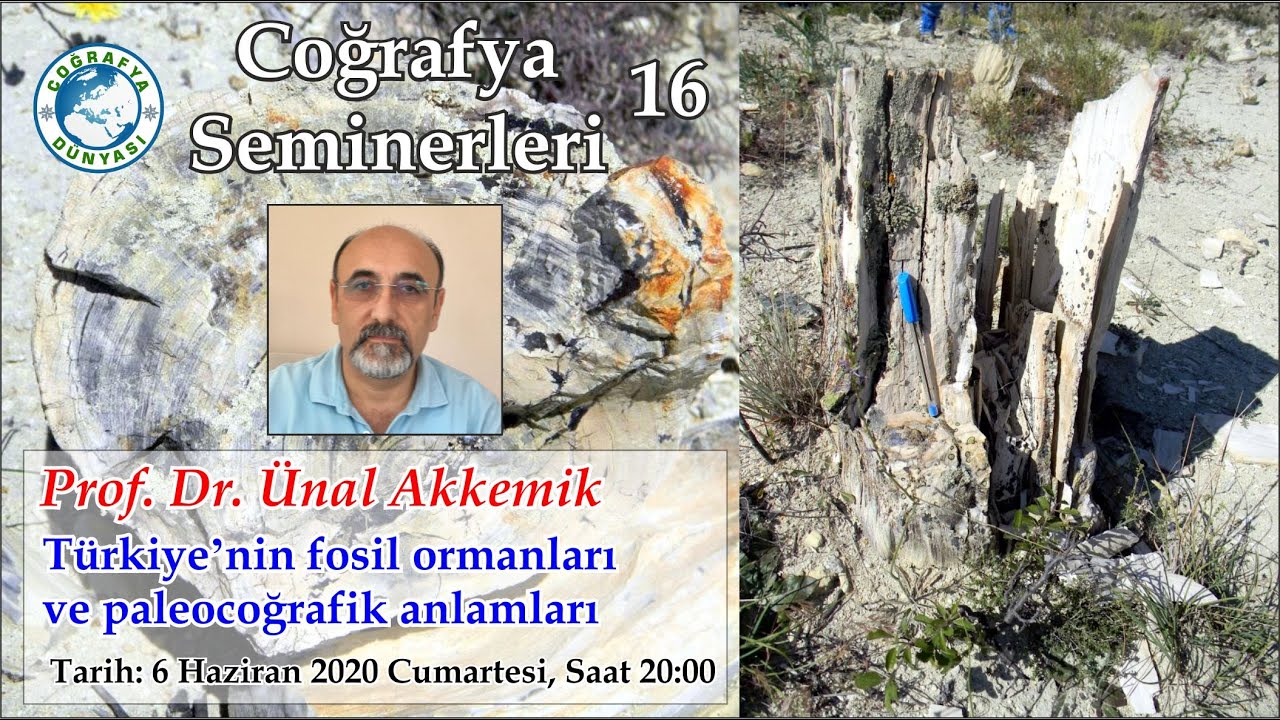 16-Anadolu'nun fosil ormanları ve paleocoğrafik anlamları (Ünal Akkemik)