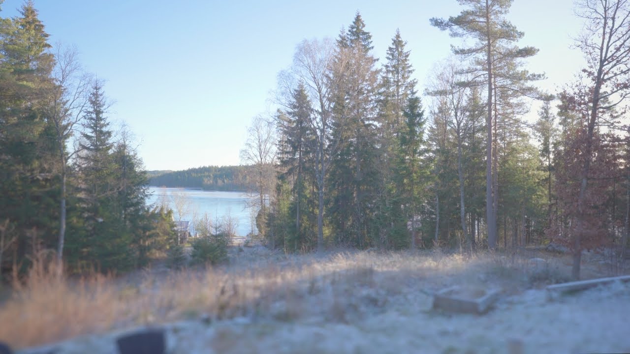 Ambient Nature Harmonies 002: Calm Lakeview - Late Autumn Sun in South-Central Sweden