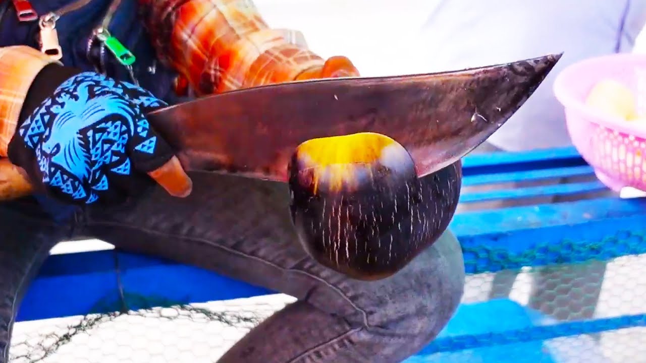 Top 3 Crazy Skills with Cutting Palmyra Palm Fruits!