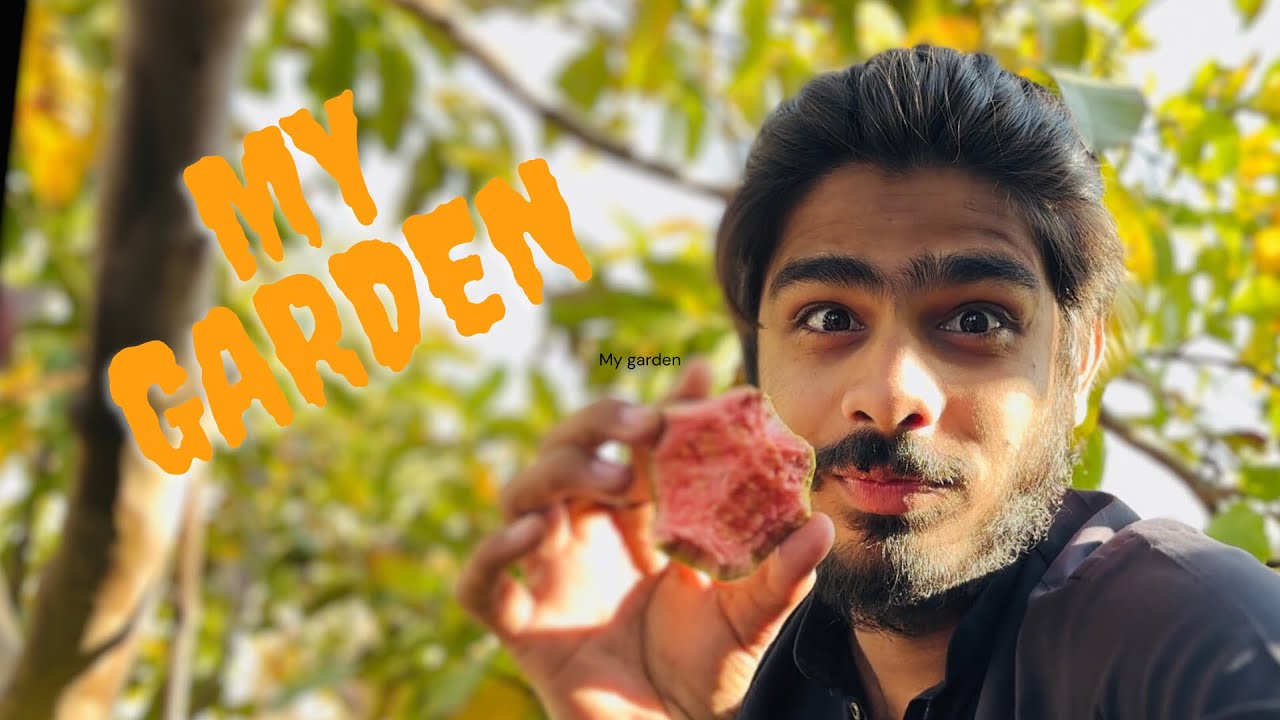 My garden visit 2025 ❤️‍🩹🖤|| Yummy fruits 🍈 || Baboo Blogs