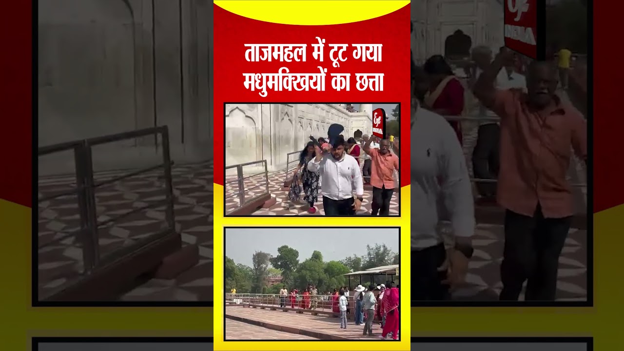 ताजमहल में टूट गया मधुमक्खियों का छत्ता !