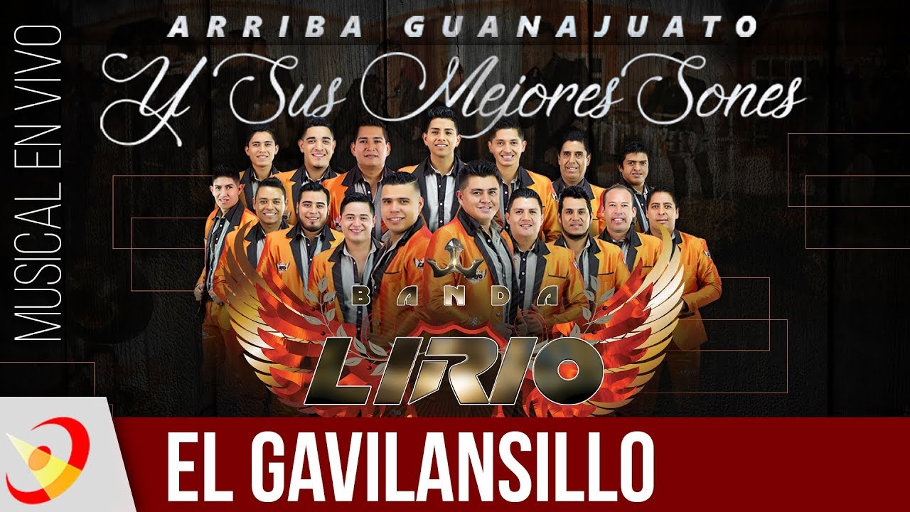 Banda Lirio - El Gavilansillo (En Vivo)