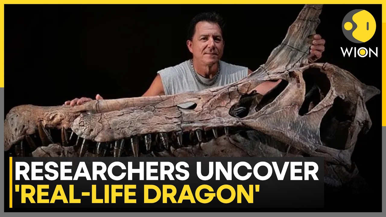 Sahara Sands Reveal Dragon Like Terror: New Species of Apex Predator Stuns Researchers | WION