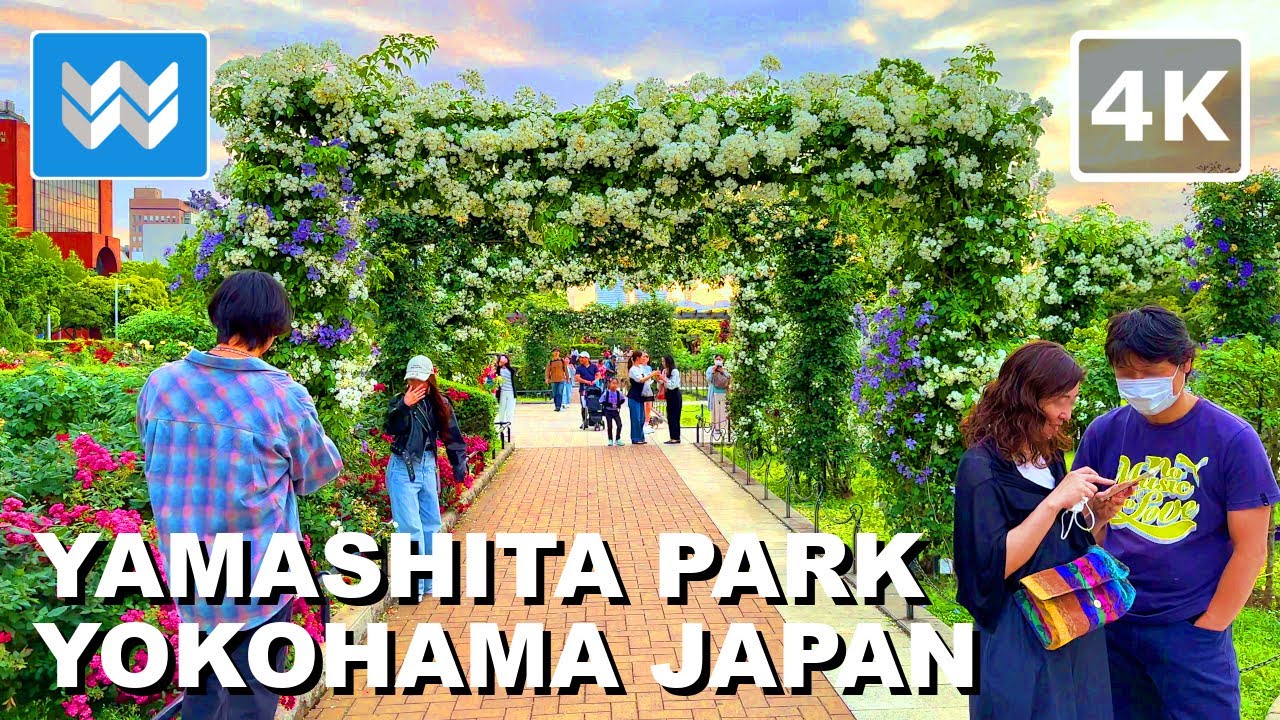 [4K] Yamashita Park Future Rose Garden in Yokohama Japan 🇯🇵 Walking Tour Vlog & Travel Guide