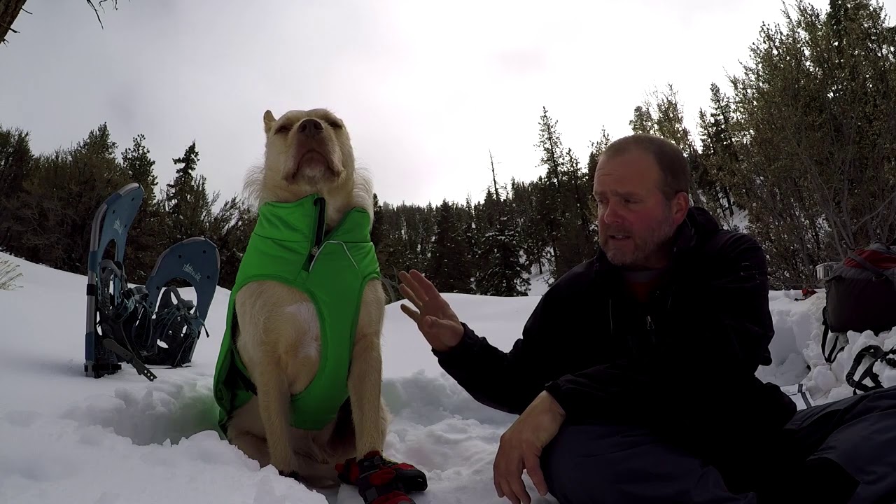 Gear Review: Ruffwear Quinzee and Polar Trex