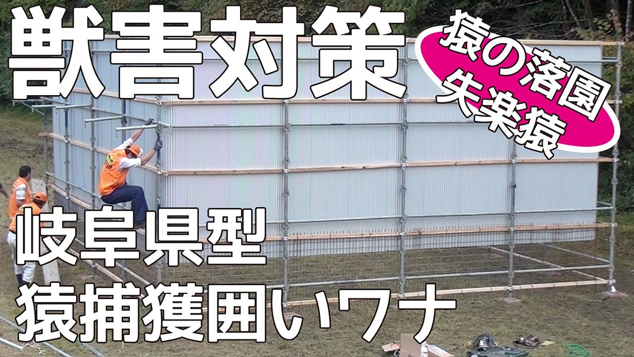 【獣害対策】岐阜県型猿捕獲囲いワナ