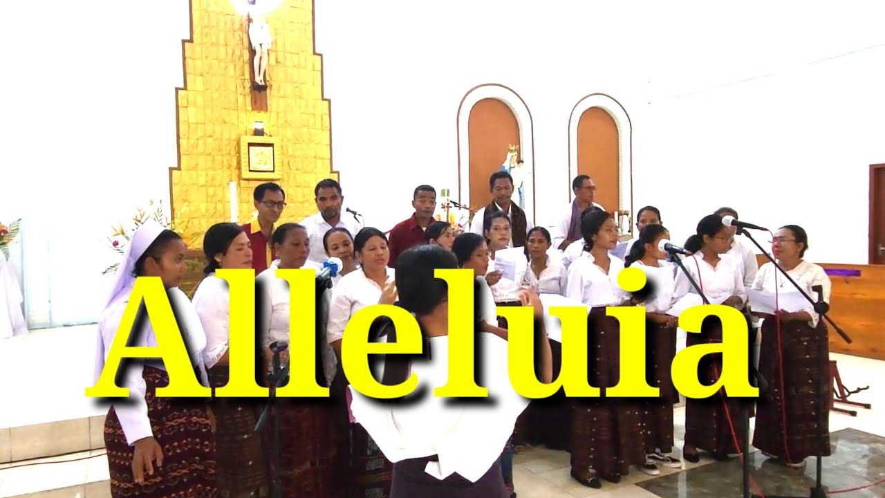 ALLELUIA DOLO DOLO SURIYAN