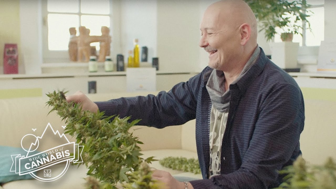One Austrian Is Giving Out Medical Marijuana Despite the Consequences | WIDE WORLD OF CANNABIS