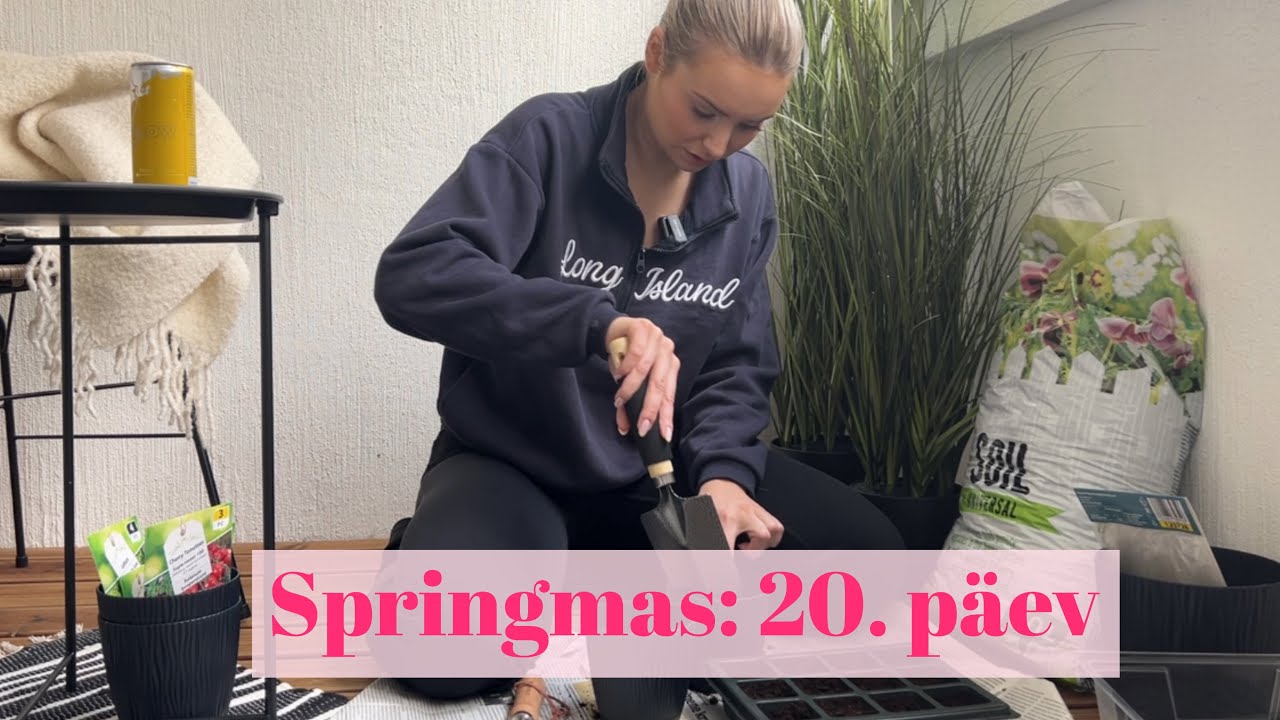 SPRINGMAS | #20 Istutan taimi & lobisen ja küpsetan
