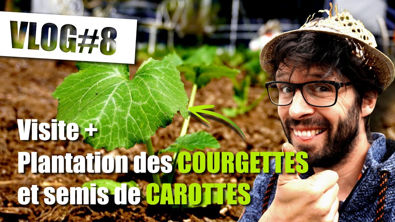 Visite du POTAGER + Plantation COURGETTE + Semis CAROTTES /// VLOG potager 8 - #potager #jardin