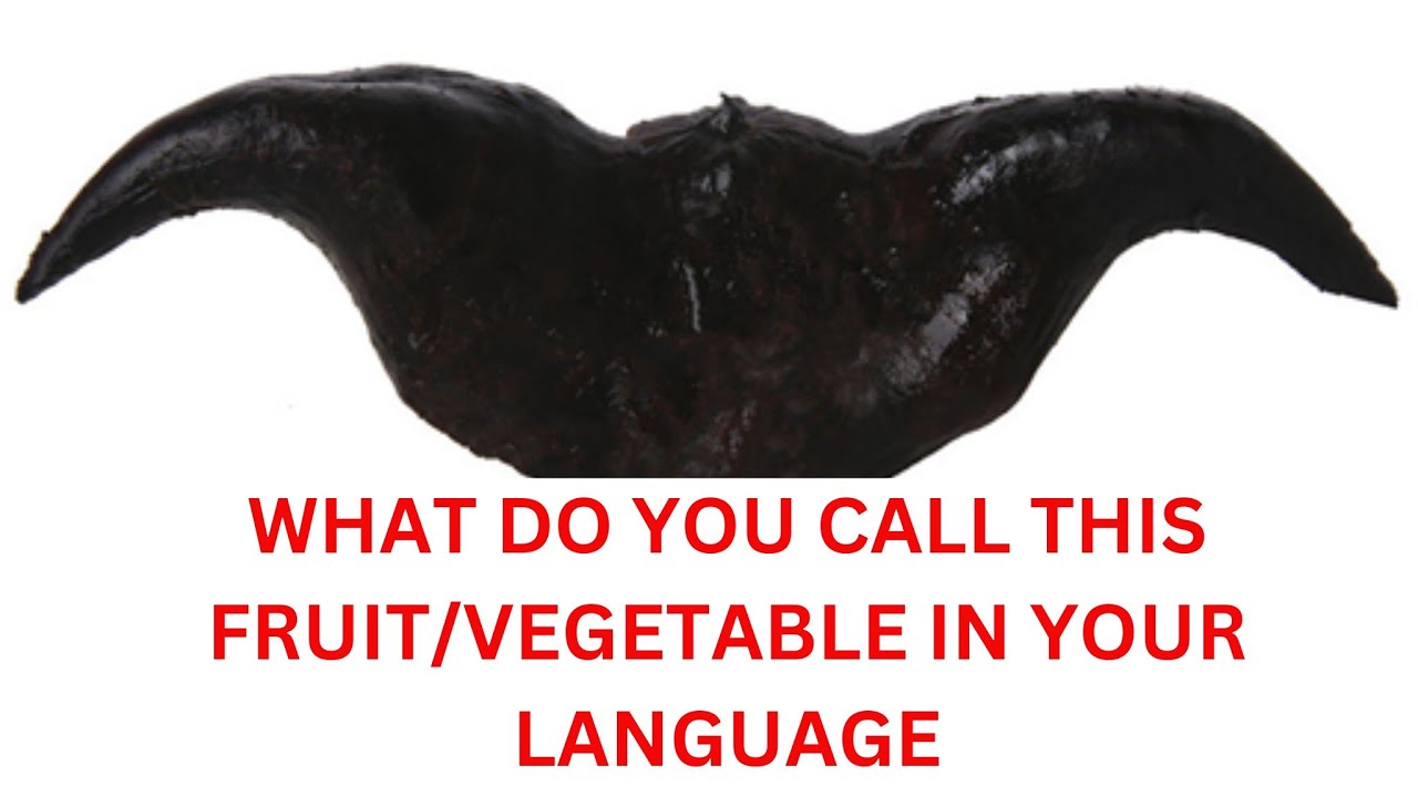 Intro to China/ Devil  pod or Mustache Nut Fruit or Vegetable