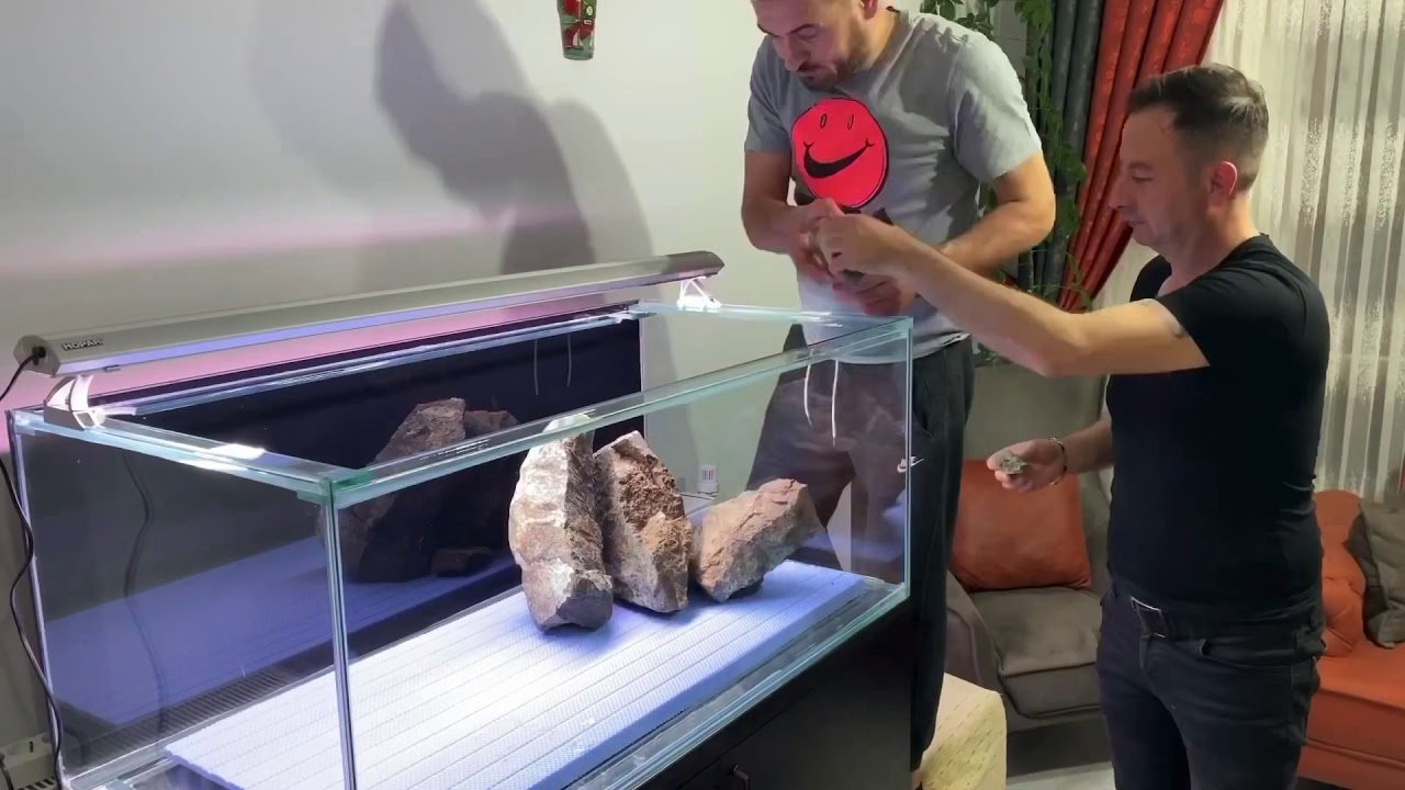 Tanganyika Kayalık Akvaryum kurulumu (Aşama Aşama Tasarım ) Sonunda güzel bir akvaryum oldu..(1080p)