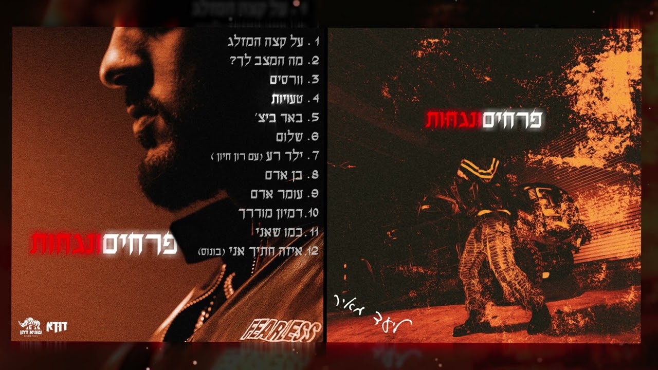 ליעד מאיר - טעויות