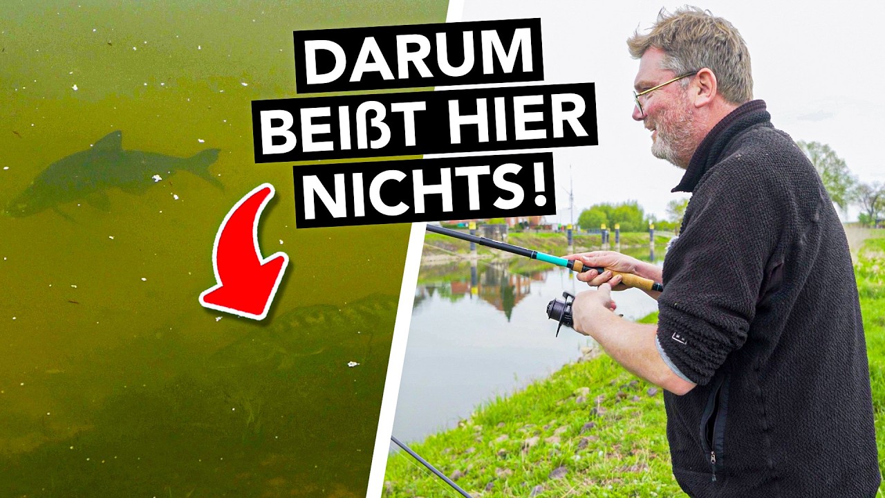 Erst Flaute, dann das 😬 Überraschung beim Friedfischangeln am Fluss 🎣