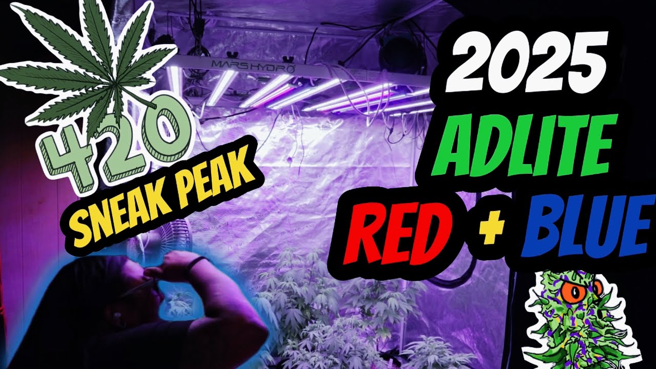 2025 Mars Hydro top LED grow light & AdLite Red + Blue Combo | 420 Giveaway Sneak Pre Announcement 🏆