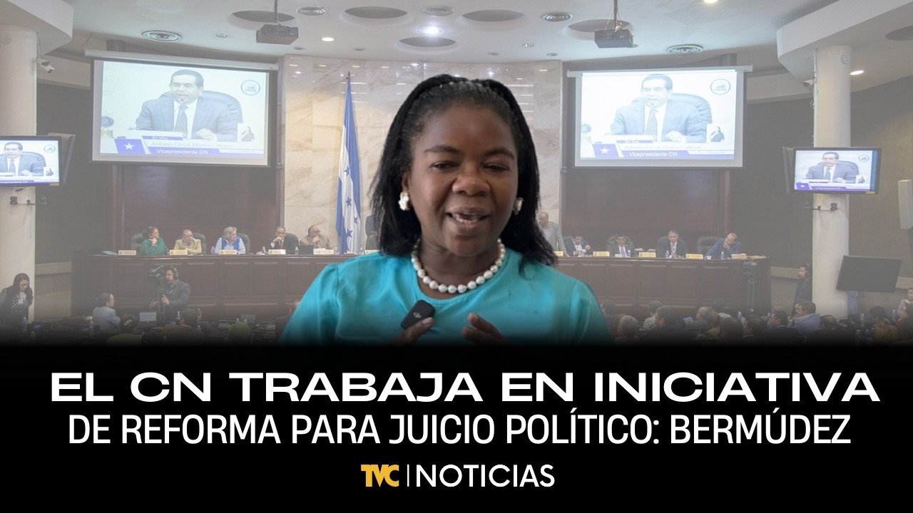 El Congreso Nacional trabaja en iniciativa de reforma para juicio político: Bermúdez