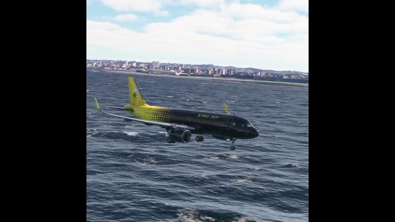 the carelessness of an airplane pilot 0234