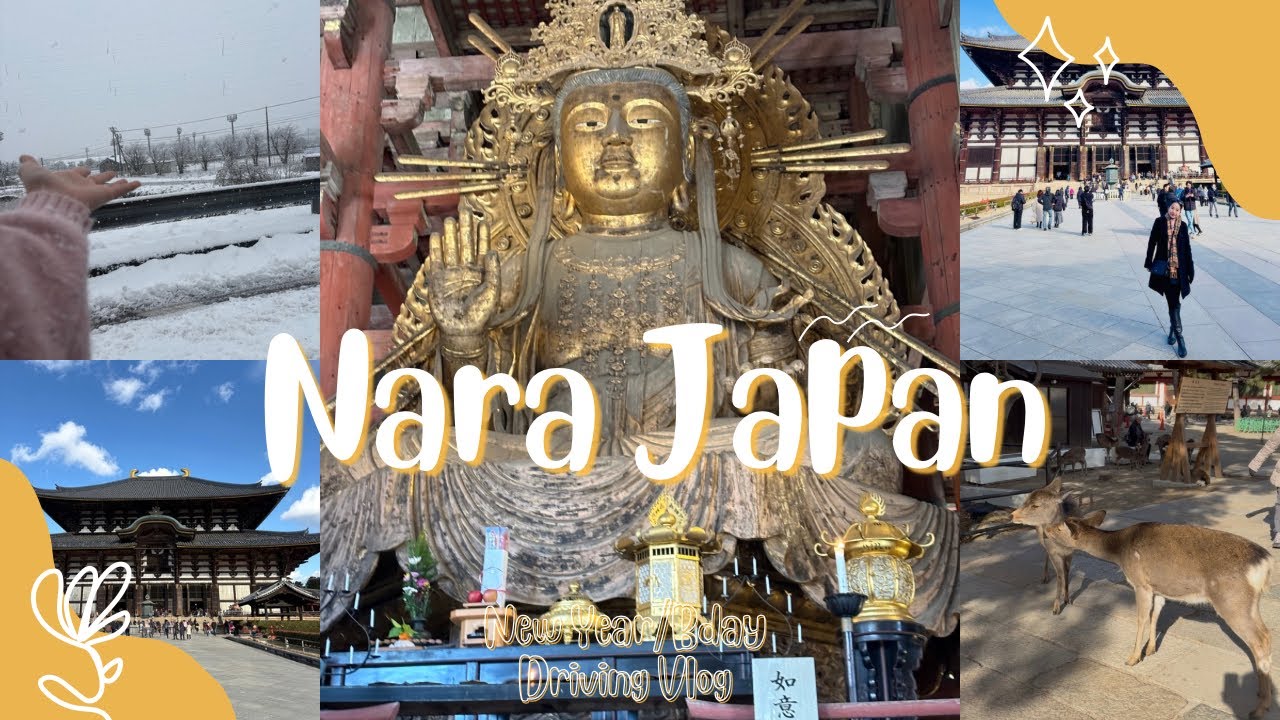 Nara Park, Todaiji Temple  And Winter Road Trip Japan