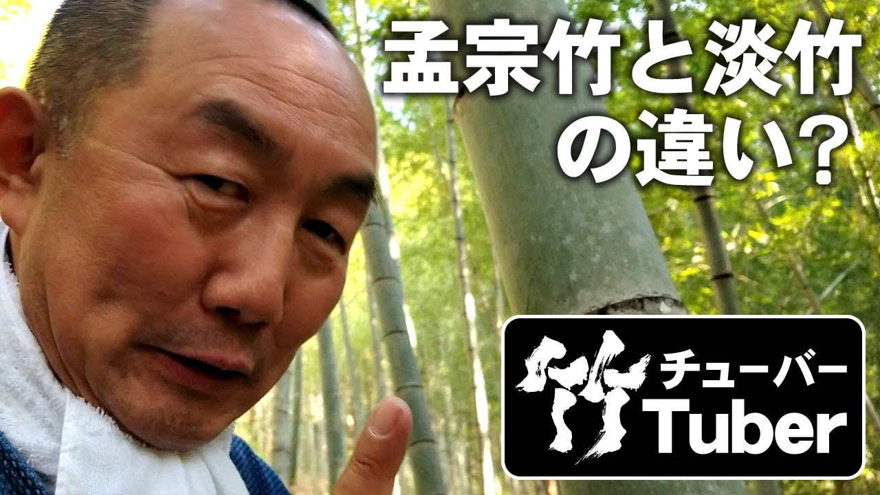 【竹虎】孟宗竹（モウソウチク）、真竹（マダケ）、淡竹（ハチク）の見分け方をご存知ですか？  Japanese bamboo
