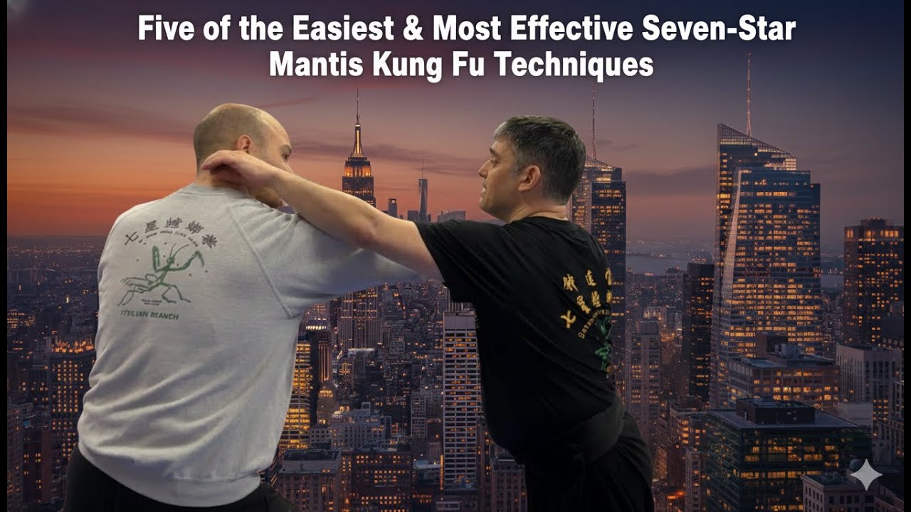 5 Seven-Star Mantis Techniques That Build Real Power (Most People Miss These) Before New York