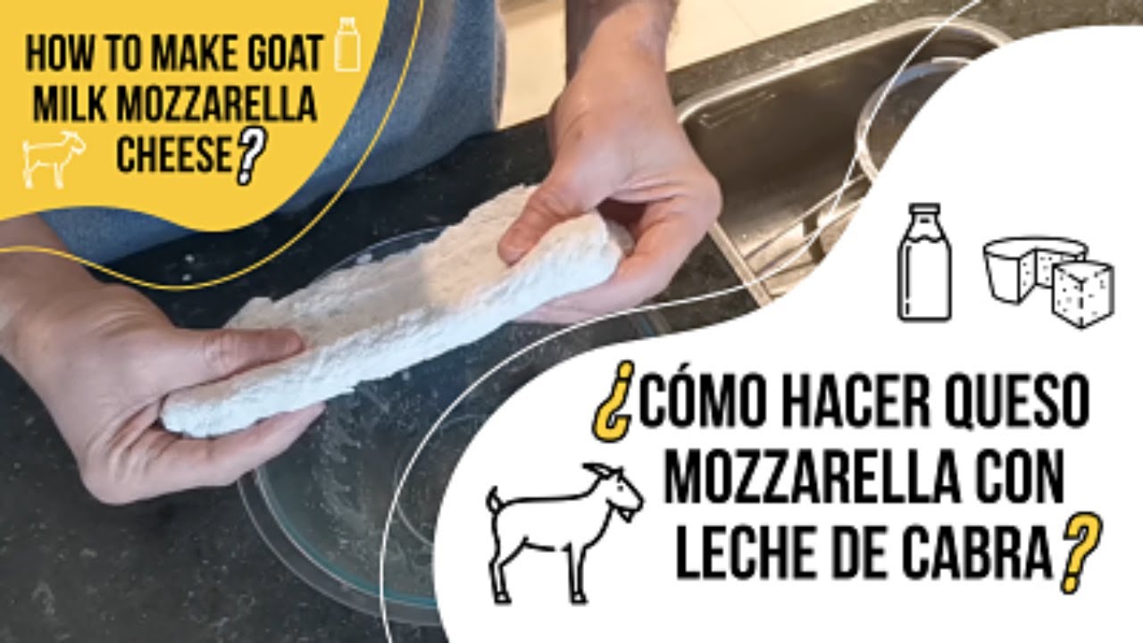 Como hacer Queso Mozzarella con leche de Cabra, How to make Goat Milk Mozzarella Cheese