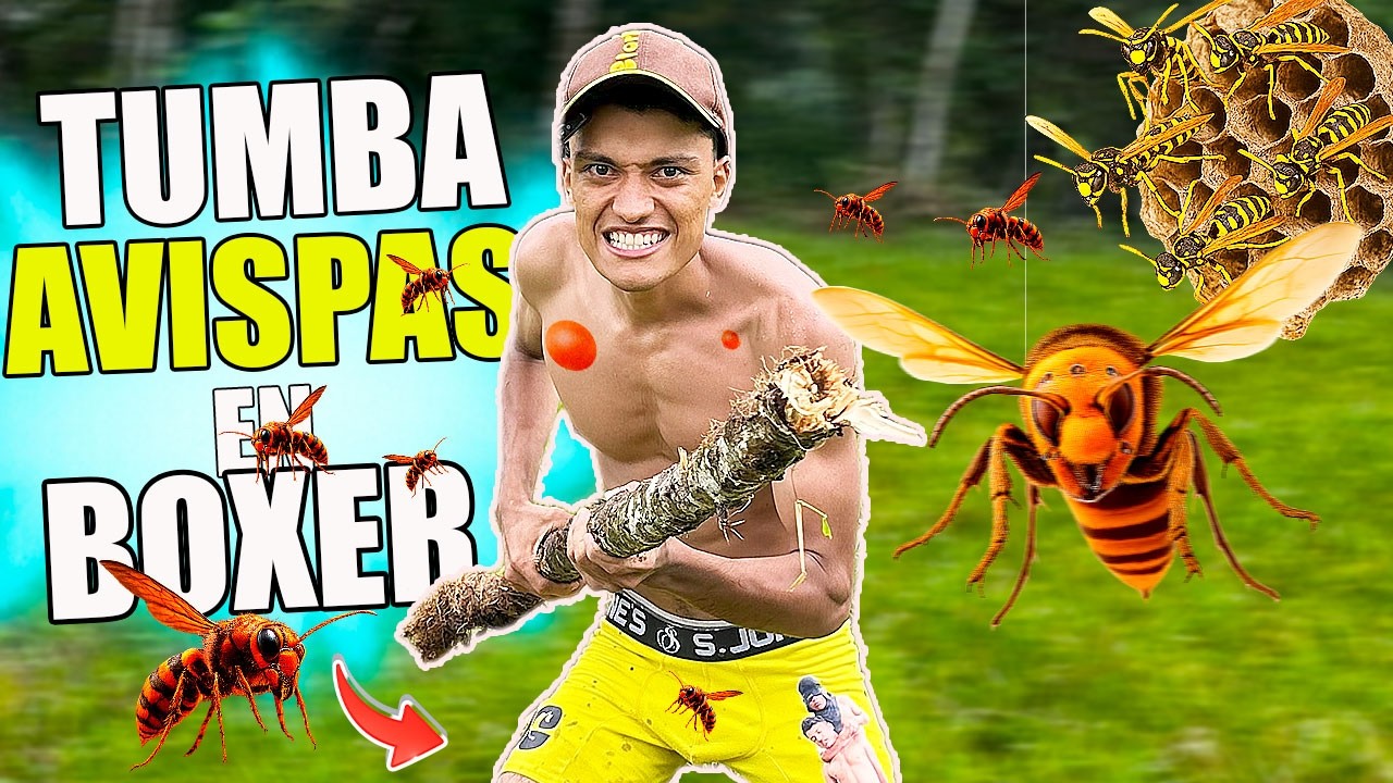 Tumba Avispas #3 🐝 En Bóxer  *Adrenalina Al 100* - Andrés WG