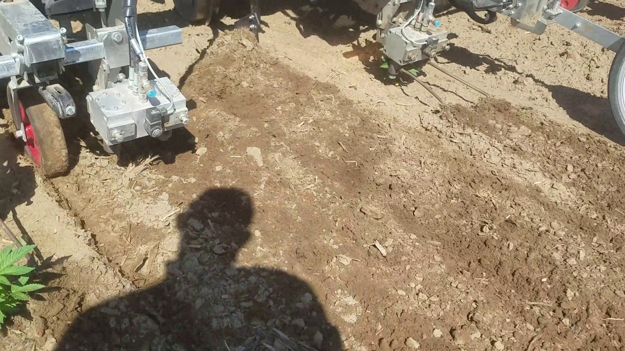 Robovator in Hemp