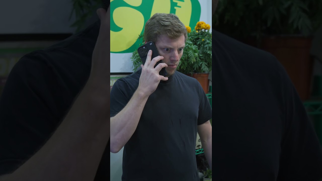 Когда вы используете chatGPT для всего