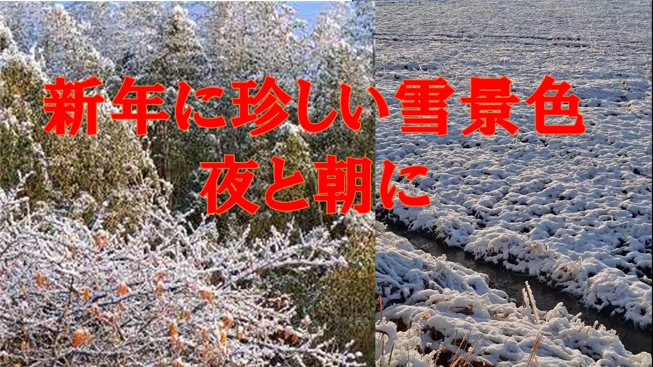 夜空を舞う雪と雪化粧の朝・年の初めに懐かしい風景をみました。夜には満月も（ウルフムーン）2026年1月2日～1月3日夜撮影