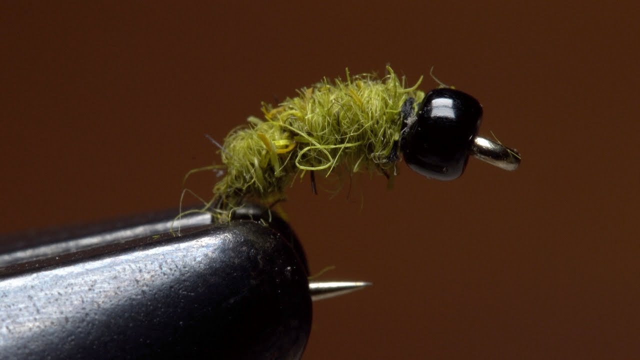 Micro Caddis Larva