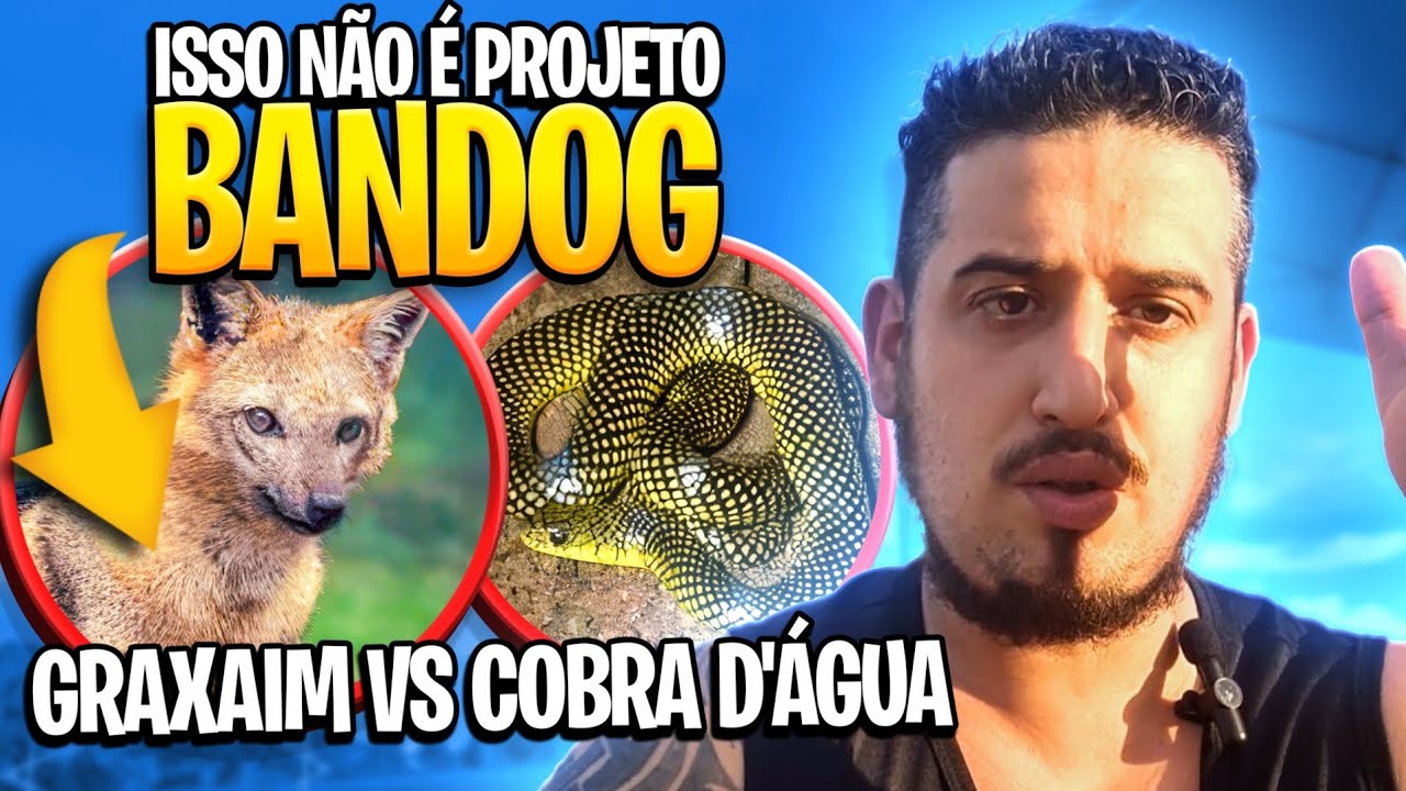 ISSO NÃO É PROJETO BANDOG!