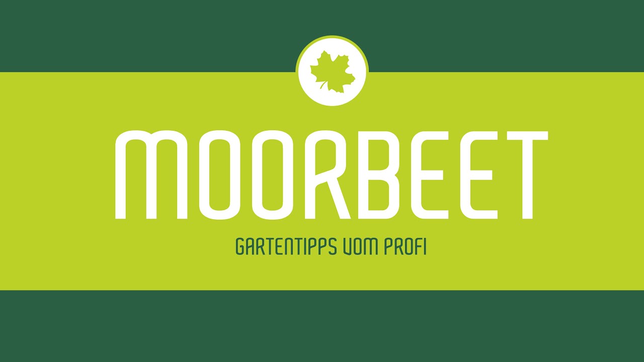 Gartentipps vom Profi: Moorbeet